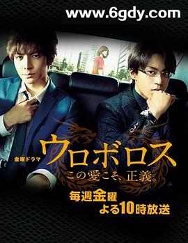 无间双龙：这份爱，才是正义(2015)完结已完结迅雷网盘全集下载