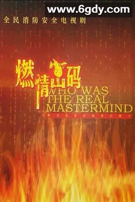 燃情密码(2013)完结已完结迅雷网盘全集下载