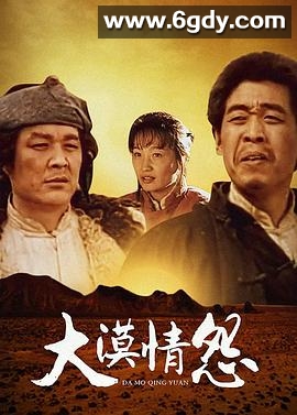 大漠情怨(2008)完结已完结迅雷网盘全集下载