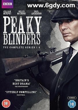 浴血黑帮 第五季(2019)完结6集全迅雷网盘全集下载