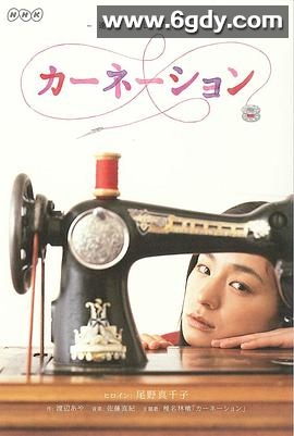 康乃馨(2011)完结已完结迅雷网盘全集下载