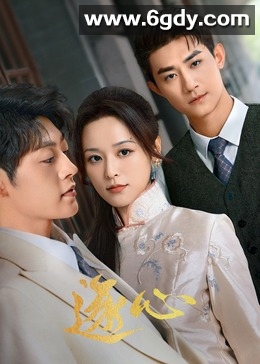 逐心(2024)完结24集全迅雷网盘全集下载