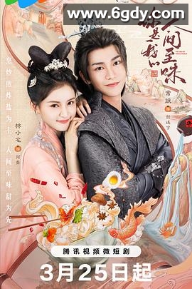 你是我的人间至味(2024)完结28集全迅雷网盘全集下载