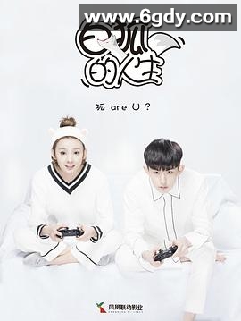 白狐的人生(2019)完结24集全迅雷网盘全集下载