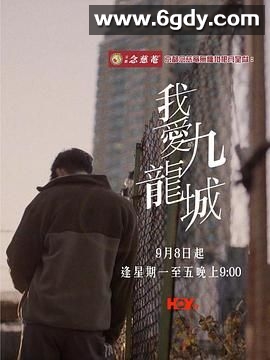 我爱九龙城(2025)完结10集全迅雷网盘全集下载