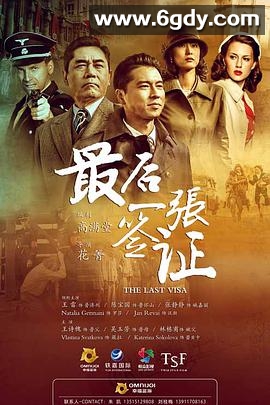 最后一张签证(2017)完结46集全迅雷网盘全集下载