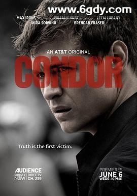 秃鹰 第一季(2018)完结10集全迅雷网盘全集下载