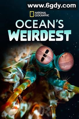 海洋异物志(2022)完结已完结迅雷网盘全集下载