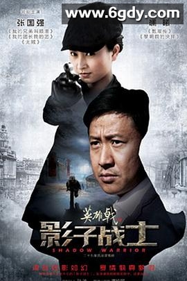英雄戟之影子战士(2014)完结已完结迅雷网盘全集下载