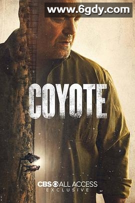 郊狼(2021)完结6集全迅雷网盘全集下载