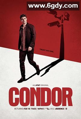 秃鹰 第二季(2020)完结10集全迅雷网盘全集下载