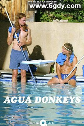 水驴清洁公司(2020)完结10集全迅雷网盘全集下载