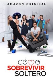 单身万岁 第一季(2020)完结13集全迅雷网盘全集下载