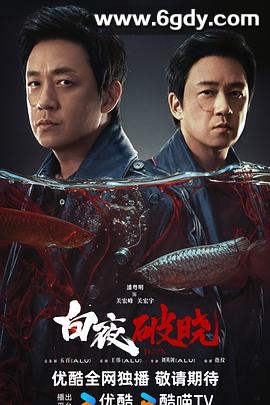 白夜破晓(2024)完结29集全迅雷网盘全集下载
