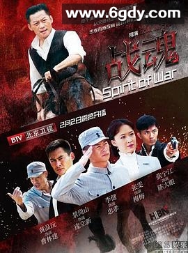 战魂(2014)完结已完结迅雷网盘全集下载