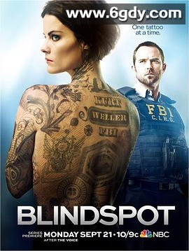 盲点 第一季(2015)完结23集全迅雷网盘全集下载