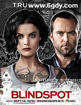 盲点 第二季(2016)完结22集全迅雷网盘全集下载