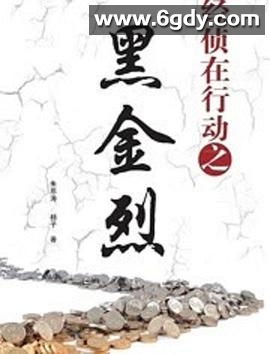 经侦在行动之黑金烈(2015)完结已完结迅雷网盘全集下载