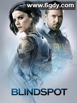 盲点 第四季(2018)完结22集全迅雷网盘全集下载