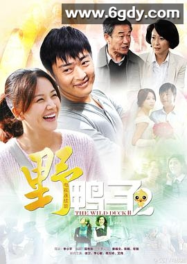 野鸭子2(2013)完结30集全迅雷网盘全集下载