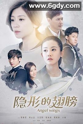 隐形的翅膀(2016)完结已完结迅雷网盘全集下载