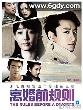 离婚前规则(2012)完结已完结迅雷网盘全集下载
