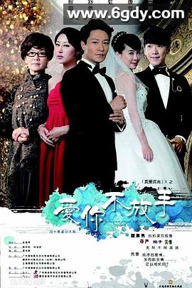 爱你不放手(2015)完结已完结迅雷网盘全集下载