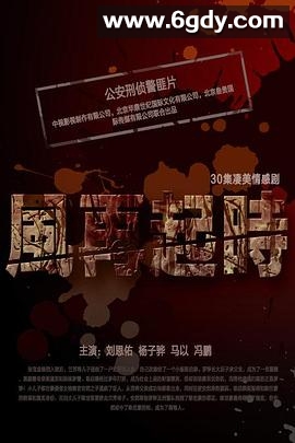 风，再起时(2012)完结已完结迅雷网盘全集下载