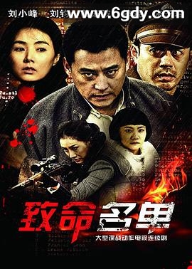 致命名单(2012)完结已完结迅雷网盘全集下载