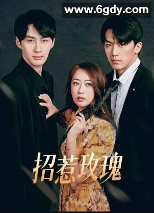 招惹玫瑰(2025)完结全24集迅雷网盘全集下载