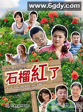 火红的日子(2013)完结已完结迅雷网盘全集下载