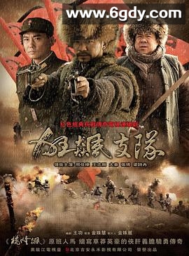 狂飙支队(2012)完结已完结迅雷网盘全集下载