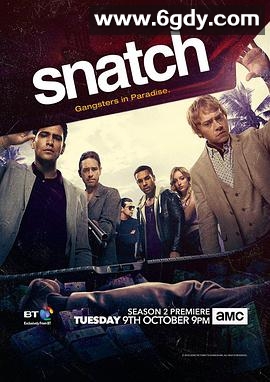 偷拐抢骗 第二季(2018)完结已完结迅雷网盘全集下载