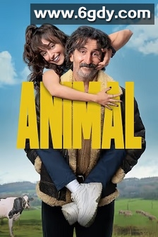 老派新兽医(2025)完结9集全迅雷网盘全集下载