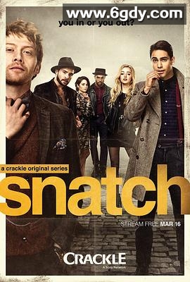 偷拐抢骗 第一季(2017)完结已完结迅雷网盘全集下载