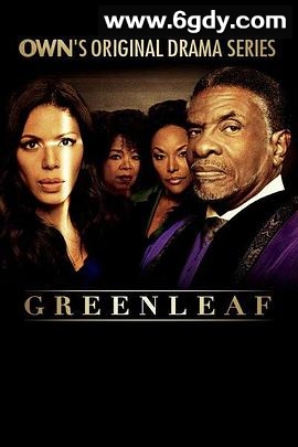 绿叶 第二季(2017)完结已完结迅雷网盘全集下载