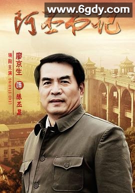 阿丕书记(2012)完结已完结迅雷网盘全集下载