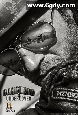 黑帮卧底 第二季(2016)完结已完结迅雷网盘全集下载