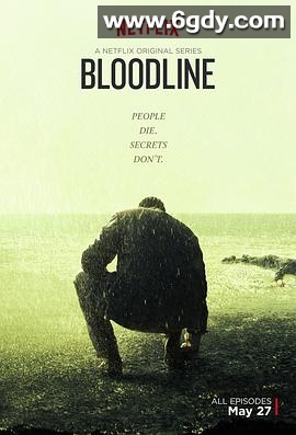 至亲血统 第二季(2016)完结已完结迅雷网盘全集下载