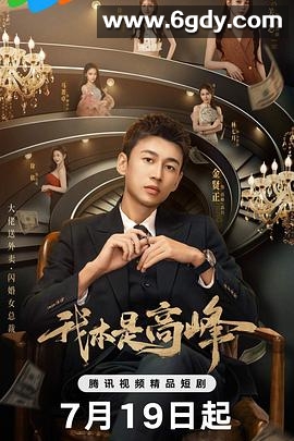 我本是高峰(2025)完结25集全迅雷网盘全集下载