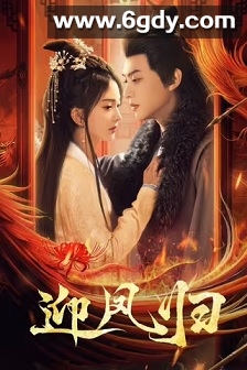 迎凤归(2025)完结28集全迅雷网盘全集下载