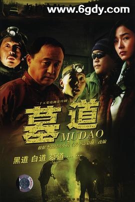 墓道(2007)完结已完结迅雷网盘全集下载