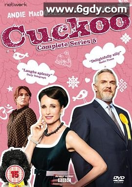 女婿乱入 第五季(2019)完结已完结迅雷网盘全集下载