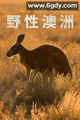 野性澳大利亚(2014)完结已完结迅雷网盘全集下载