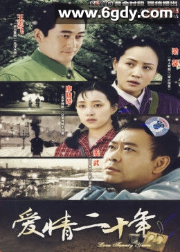 爱情二十年(2007)完结已完结迅雷网盘全集下载