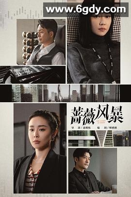 蔷薇风暴(2024)完结40集全迅雷网盘全集下载