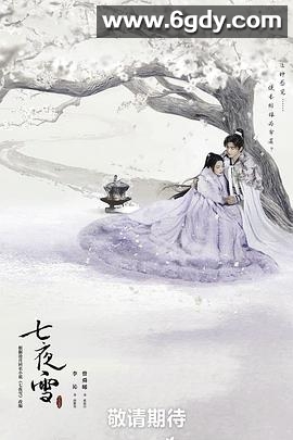 七夜雪(2024)完结32集全迅雷网盘全集下载