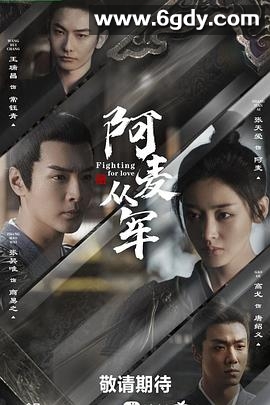 阿麦从军(2024)完结36集全迅雷网盘全集下载