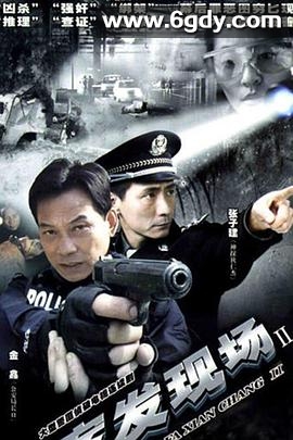 案发现场2(2007)完结36集全迅雷网盘全集下载