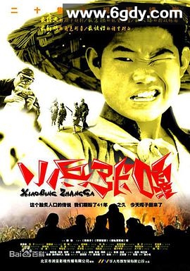 小兵张嘎(2004)完结20集全迅雷网盘全集下载